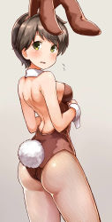 Rule 34 | 10s, 1girl, absurdres, animal ears, arm at side, ass, backless outfit, bare arms, bare shoulders, blush, breasts, brown hair, brown pantyhose, cowboy shot, detached collar, fake animal ears, fishnet pantyhose, fishnets, from behind, green eyes, highres, kantai collection, leotard, looking at viewer, looking back, medium breasts, mogami (kancolle), okitsugu, pantyhose, playboy bunny, rabbit ears, rabbit tail, short hair, simple background, solo, tail, thighs, very short hair