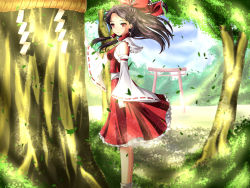 Rule 34 | 1girl, ankle socks, azutan, bare shoulders, blue sky, bow, breasts, brown hair, cloud, covered erect nipples, day, detached sleeves, expressionless, from side, hair bow, hair tubes, hakurei reimu, hand rest, highres, leaf, long hair, looking at viewer, outdoors, red eyes, rope, shade, shide, shimenawa, sidelocks, skirt, skirt set, sky, small breasts, socks, solo, torii, touhou, tree, tree shade, wind