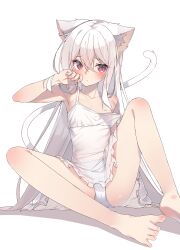 Rule 34 | 1girl, animal ears, barefoot, blush, cat ears, cat girl, cat tail, check commentary, closed mouth, commentary, commentary request, dress, flat chest, full body, hair between eyes, hand in own hair, hand on own cheek, hand on own face, highres, long hair, looking ahead, no bra, original, panties, red eyes, see-through, see-through dress, shadow, shiro youduki, short dress, simple background, sitting, sleeveless, sleeveless dress, slit pupils, solo, spread legs, straight hair, strap slip, tail, underwear, very long hair, white background, white dress, white hair, white panties