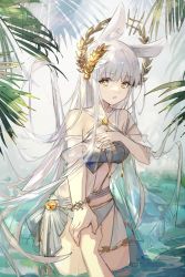 Rule 34 | 1girl, absurdres, animal ears, arknights, bandeau, bare shoulders, bikini, commentary, cowboy shot, criss-cross halter, halterneck, hand on own chest, highres, holding hands, horse ears, laurel crown, long hair, looking at viewer, navel, official alternate costume, parted lips, platinum (arknights), platinum (shimmering dew) (arknights), qianzhu, silver hair, solo focus, standing, stomach, swimsuit, very long hair, wading, water, white bikini, yellow eyes