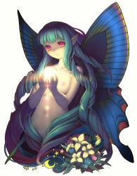 Rule 34 | 1girl, bad id, bad pixiv id, breasts, butterfly wings, cruccu, drill hair, flower, green hair, insect wings, lily (flower), long hair, nipples, nude, pointy ears, red eyes, small breasts, solo, very long hair, wings
