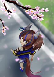 Rule 34 | 1girl, absurdres, animal ears, ao komhur, bare shoulders, blue footwear, blue shirt, blurry, blurry background, boots, cherry blossoms, clothing cutout, colored inner hair, commentary request, daitaku helios (umamusume), ear covers, ear piercing, facial tattoo, grass, hair between eyes, hair ornament, hairclip, highres, horse ears, horse girl, horse tail, multicolored hair, outdoors, parted lips, piercing, shirt, shorts, shoulder cutout, solo, star (symbol), star hair ornament, striped clothes, striped shirt, tail, tail through clothes, tattoo, umamusume, white shorts