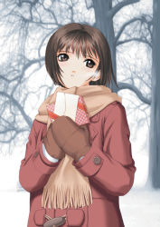 Rule 34 | 1girl, gift, holding, holding gift, mittens, scarf, snow, solo, tony taka, winter
