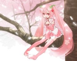 Rule 34 | 1girl, boots, cherry blossoms, detached sleeves, hatsune miku, in tree, long hair, necktie, niboshi, open mouth, pink footwear, pink hair, pink thighhighs, red eyes, sakura miku, sitting, sitting in tree, skirt, solo, thigh boots, thighhighs, tree, twintails, very long hair, vocaloid, zettai ryouiki
