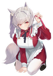Rule 34 | 1girl, animal ear fluff, animal ears, apron, between legs, black footwear, blush, breasts, btraphen, closed mouth, collar, collared dress, commentary request, dress, frilled apron, frills, full body, grey hair, hair between eyes, hand between legs, hand up, highres, holding, holding leash, juliet sleeves, large breasts, leash, long sleeves, looking at viewer, maid, original, pantyhose, puffy sleeves, red dress, red eyes, shoes, side ponytail, simple background, solo, tail, white apron, white background, white pantyhose