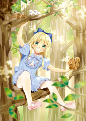 Rule 34 | 1girl, bad id, bad pixiv id, bird, bird nest, blonde hair, border, bow, dress, green eyes, grin, hair bow, holding, in tree, long hair, looking at viewer, mary janes, nakahara (fukufuku), nut, nut (food), original, pantyhose, shoes, sitting, sitting in tree, smile, solo, squirrel, tree