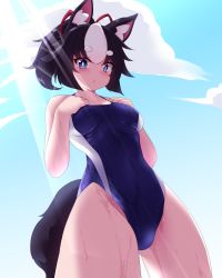 Rule 34 | 1girl, animal ears, blue sky, blue one-piece swimsuit, breasts, cloud, commentary request, competition swimsuit, cowboy shot, dog ears, dog tail, highleg, highleg swimsuit, highres, one-piece swimsuit, original, sivamaron, sky, small breasts, solo, standing, swimsuit, tail