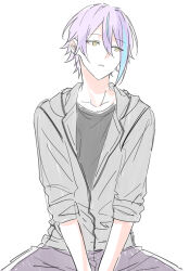 Rule 34 | 1boy, asymmetrical bangs, black shirt, blue hair, commentary, cowboy shot, double-parted bangs, grey jacket, hair between eyes, hk (wgyz7222), hood, hood down, hooded jacket, jacket, kamishiro rui, long sleeves, male focus, parted lips, partially unzipped, project sekai, purple hair, shirt, sideways glance, simple background, solo, white background, yellow eyes