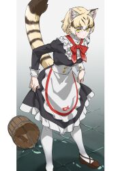 Rule 34 | 1girl, animal ear fluff, animal ears, apron, blonde hair, brown footwear, brown hair, bucket, cat ears, cat girl, cat tail, commentary, extra ears, frills, hair between eyes, highres, japari symbol, kemono friends, kemono friends 3, leaning forward, long sleeves, looking at viewer, maid, multicolored hair, neck ribbon, official alternate costume, pantyhose, red ribbon, ribbon, sand cat (kemono friends), shoes, short hair, skirt hold, solo, spill, striped tail, tail, tanabe (fueisei), waist apron, water, white hair, white pantyhose, wooden bucket, yellow eyes