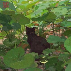 Rule 34 | animal, animal focus, black cat, cat, cat day, from side, highres, looking at viewer, neo1900, no humans, original, plant, solo, yellow eyes