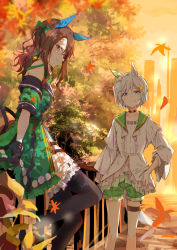 Rule 34 | 2girls, against railing, animal ears, autumn, autumn leaves, bare shoulders, black gloves, bow, brown hair, dress, ear covers, feet out of frame, frilled legwear, gloves, green bow, grey hair, hair bow, hand on own hip, highres, horse ears, horse girl, horse tail, king halo (umamusume), against railing, long hair, long sleeves, multiple girls, ninjin nouka, off-shoulder dress, off shoulder, outdoors, railing, seiun sky (umamusume), short hair, short sleeves, shorts, smile, tail, thigh strap, thighhighs, tree, umamusume, wide sleeves
