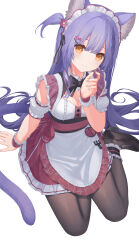 Rule 34 | 1girl, animal ear fluff, animal ears, apron, arm support, black footwear, blush, breasts, brown pantyhose, cat ears, cat girl, cat tail, center frills, cleavage, closed mouth, commentary, detached sleeves, frilled apron, frilled skirt, frills, from above, grey nails, hand up, highres, loafers, looking at viewer, looking up, medium breasts, nail polish, one side up, orange eyes, original, pantyhose, puffy short sleeves, puffy sleeves, purple hair, red skirt, shirt, shoes, short sleeves, simple background, sitting, skirt, solo, symbol-only commentary, tail, waist apron, white apron, white background, white shirt, white sleeves, wrist cuffs, yaoku, yokozuwari