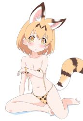 Rule 34 | 1girl, animal ears, arm support, bad id, bad twitter id, barefoot, bikini, blush, breasts, bright pupils, commentary request, ilyfon133, kemono friends, light frown, looking at viewer, medium breasts, navel, open mouth, print bikini, serval (kemono friends), serval print, serval tail, short hair, simple background, sitting, solo, striped tail, swimsuit, tail, untied bikini, white background, white pupils, yokozuwari