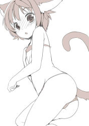 Rule 34 | 1girl, animal ears, blush, cat ears, cat tail, flat chest, fuyuno mikan, monochrome, short hair, simple background, solo, tail, white background