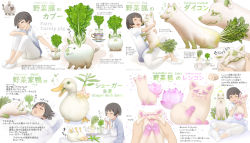 Rule 34 | 1girl, animal, bird, cat, cheek pinching, commentary request, cup, duck, english text, flower, food, fox, ginger root, highres, hug, licking, long sleeves, lotus, lying, multiple views, on bed, original, pig, pinching, ponkichi (ponkichim), radish, short hair, sitting, smile, socks, sweat, teacup, tongue, tongue out, translation request, turnip, under covers, vegetable, white background