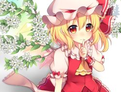Rule 34 | 1girl, ascot, back bow, blonde hair, blush, bow, commentary request, crystal, dot nose, eyelashes, finger to mouth, flandre scarlet, flower, frilled shirt collar, frilled skirt, frilled sleeves, frills, hat, hat bow, hat ribbon, highres, leaf, mob cap, multicolored wings, one side up, puffy short sleeves, puffy sleeves, red bow, red eyes, red ribbon, red skirt, red vest, ribbon, ruhika, sash, short sleeves, side ponytail, sidelocks, skirt, smile, solo, standing, touhou, twig, upper body, vest, white flower, white hat, white sash, wings, wrist cuffs, yellow ascot