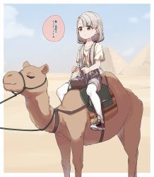 Rule 34 | 1girl, absurdres, blue shorts, braid, braided bangs, brown eyes, brown shirt, camel, closed eyes, closed mouth, commentary, desert, grey hair, hair over shoulder, highres, hisakawa nagi, idolmaster, idolmaster cinderella girls, idolmaster cinderella girls starlight stage, long hair, low twintails, pyramid (structure), red footwear, riding, sand, shirt, shoes, short shorts, short sleeves, shorts, sitting, solo, thighhighs, translated, twintails, v-shaped eyebrows, very long hair, white thighhighs, yukie (kusaka shi)