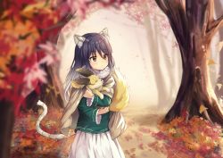 Rule 34 | 1girl, animal, animal ear fluff, animal ears, autumn leaves, black hair, blurry, blurry foreground, blush, brown eyes, carrying, cloak, closed mouth, dargo, day, depth of field, expressionless, falling leaves, fur collar, gradient hair, green shirt, hair intakes, leaf, long hair, long sleeves, looking to the side, multicolored hair, outdoors, princess connect!, shiori (princess connect!), shirt, skirt, solo, tail, tree, white hair, white skirt, wide sleeves