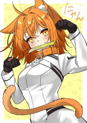 Rule 34 | 1girl, ahoge, animal ears, black gloves, blush, breasts, cat ears, cat girl, cat tail, collar, commentary request, fate/grand order, fate (series), fujimaru ritsuka (female), fujimaru ritsuka (female) (decisive battle chaldea uniform), gloves, hair between eyes, highres, ichino tomizuki, long sleeves, medium hair, orange eyes, orange hair, paw pose, slit pupils, small breasts, solo, tail
