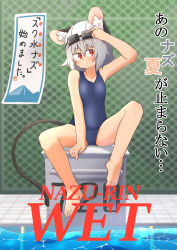 Rule 34 | 1girl, absurdres, alternate costume, animal ears, blue one-piece swimsuit, blush, chain-link fence, closed mouth, commentary request, day, ears through headwear, expressionless, fence, full body, goggles, goggles on head, greenpiecerice, grey hair, highres, mouse ears, mouse girl, mouse tail, nazrin, one-piece swimsuit, outdoors, pool, poolside, red eyes, short hair, sitting, solo, swim cap, swimsuit, tail, touhou, translation request, water, white headwear