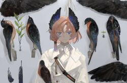 Rule 34 | 1boy, absurdres, aged down, animal request, arknights, bird, blue eyes, bright pupils, commentary, feather hair, feathers, grey background, highres, jacket, leaf, looking at viewer, male focus, orange hair, passenger (arknights), serious, shirt, short hair, simple background, solo, upper body, white jacket, white pupils, white shirt, yomotobi