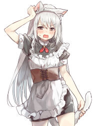 Rule 34 | 1girl, animal ears, apron, arm up, blush, brown eyes, cat ears, cat girl, cat tail, commentary request, cowboy shot, dress, fingernails, frilled apron, frills, grey dress, hair between eyes, hand on own head, highres, holding own tail, long hair, looking at viewer, maid apron, open mouth, original, pomu (joynet), puffy short sleeves, puffy sleeves, short sleeves, sidelocks, silver hair, simple background, solo, sweat, tail, very long hair, white apron, white background