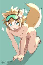 1boy all_fours animal_ears astorbt blush brown_hair completely_nude dog_boy dog_ears dog_tail genshin_impact gorou_(genshin_impact) green_background green_eyes hair_between_eyes looking_at_viewer male_focus multicolored_hair nipples nude open_mouth sandals snorkel solo tail trap twitter_username two-tone_hair white_hair