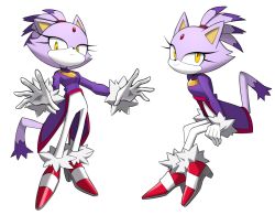 Rule 34 | 1girl, animal ears, blaze the cat, cat ears, cat girl, cat tail, flowers-imh, forehead jewel, furry, furry female, gloves, highres, long sleeves, looking at viewer, purple hair, shoes, sitting, smile, sonic (series), standing, tail, white gloves, yellow eyes