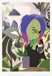 Rule 34 | 1girl, black shirt, blue hair, border, cephalopod eyes, closed mouth, collarbone, colored skin, commentary request, dedf1sh, earrings, green skin, hair over one eye, headphones, headphones around neck, highres, holding, horizontal pupils, indoors, jewelry, kiirono, light blush, medium hair, multicolored hair, multiple earrings, nintendo, octoling, one eye covered, plant, potted plant, red hair, shirt, smile, solo, splatoon (series), tentacle hair, two-tone hair, watering, watermark, white border, yellow eyes