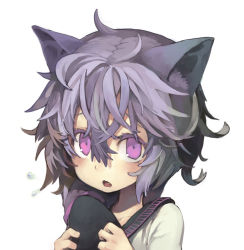 Rule 34 | 10s, 1girl, animal ears, black bullet, cat ears, colored eyelashes, fang, fuse midori, grey hair, looking at viewer, morino hon, open mouth, purple eyes, solo, upper body