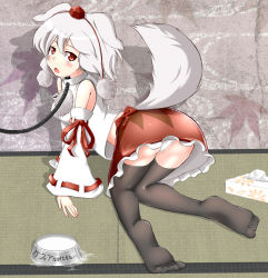 Rule 34 | 1girl, all fours, animal ears, bad id, bad pixiv id, black thighhighs, collar, detached sleeves, female focus, full body, grey hair, hat, highres, inubashiri momiji, panties, pantyshot, pom pom (clothes), red eyes, shiina excel, skirt, solo, tail, tears, thighhighs, tissue, tissue box, tokin hat, touhou, underwear, upskirt, white panties, wolf ears, wolf tail