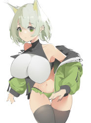 Rule 34 | 1girl, absurdres, alternate breast size, alternate costume, animal ears, arknights, bad anatomy, bare shoulders, black thighhighs, breasts, cat ears, commentary request, cowboy shot, crop top, curryzcy, green eyes, green jacket, green panties, highres, huge breasts, jacket, kal&#039;tsit (arknights), large breasts, long sleeves, looking at viewer, midriff, navel, off shoulder, open clothes, open jacket, panties, short hair, silver hair, simple background, solo, standing, stomach, thighhighs, thighs, underwear, white background
