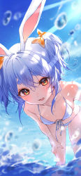 Rule 34 | 1girl, alternate costume, animal ear fluff, animal ears, bikini, blue hair, blush, bow, breasts, bubble, collarbone, front-tie bikini top, front-tie top, hair bow, hair ornament, highres, hololive, leaning forward, looking at viewer, misekiss, multicolored hair, navel, ocean, open mouth, orange eyes, outdoors, rabbit-shaped pupils, rabbit ears, rabbit girl, revision, side-tie bikini bottom, small breasts, solo, swimsuit, symbol-shaped pupils, thick eyebrows, twintails, two-tone hair, usada pekora, virtual youtuber, wading, water, water drop, wet, white bikini, white hair