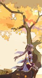 Rule 34 | 1girl, autumn leaves, bad id, bad twitter id, bare shoulders, blue bow, bow, brown pantyhose, commentary request, cone hair bun, detached sleeves, double bun, dress, expressionless, feet out of frame, genshin impact, hair bow, hair bun, highres, house, in tree, keqing (genshin impact), kurattes, long hair, outdoors, pantyhose, profile, purple dress, purple eyes, purple hair, sitting, sitting in tree, solo, tree, twintails, wide sleeves