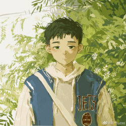 Rule 34 | 1boy, absurdres, azhuzoo, baseball jersey, black eyes, black hair, blue vest, bush, chinese commentary, day, drawstring, expressionless, flower, highres, hood, hood down, hoodie, jersey, jitome, looking at viewer, male focus, original, outdoors, painterly, plant, short hair, solo, standing, straight-on, strap, upper body, vest, weibo logo, weibo watermark, white flower, white hoodie