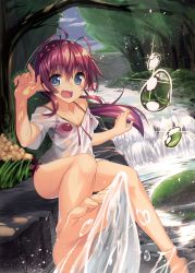 Rule 34 | 1girl, absurdres, barefoot, bikini, blue eyes, breasts, brown hair, cleavage, collarbone, eyebrows, feet, foreshortening, forest, hair between eyes, highres, long hair, looking at viewer, nature, open mouth, original, outdoors, pointy ears, ponytail, red bikini, scan, see-through, shirt, small breasts, soles, solo, swimsuit, taletale, toes, water, wet, wet clothes, wet shirt, white shirt, yukisan