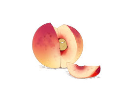 Rule 34 | apricot (fruit), artist name, bird, chai (drawingchisanne), commentary request, highres, looking at viewer, no humans, original, painttool sai (medium), peach, peach slice, simple background, sitting on food, white background
