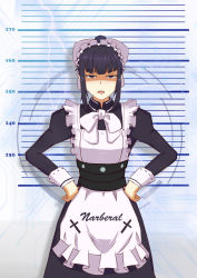 Rule 34 | 1girl, absurdres, apron, black eyes, black hair, blunt bangs, bow, commentary request, dress, frown, hands on own hips, height chart, highres, long hair, looking at viewer, maid, maid apron, maid headdress, narberal gamma, open mouth, overlord (maruyama), ponytail, ribbon, sidelocks, solo, standing, white bow, white ribbon, zllkyp