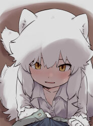 Rule 34 | 1girl, animal ears, arctic fox (kemono friends), assisted exposure, blush, bulge, buttons, collarbone, collared shirt, fox ears, fox girl, fox tail, from above, fur-trimmed sleeves, fur trim, gray gray, hands up, highres, kemono friends, kemono friends 3, light smile, long hair, long sleeves, looking at viewer, looking up, parted lips, partially unbuttoned, partially unzipped, pov, pov crotch, shirt, solo focus, sweat, tail, unzipping, very long hair, white hair, white shirt, wing collar, yellow eyes