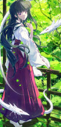 Rule 34 | absurdres, black hair, commentary, creature, falling leaves, fuunyon, hakama, highres, inuyasha, japanese clothes, kikyou (inuyasha), leaf, light smile, long hair, looking at viewer, looking back, miko, purple eyes, red hakama, shirt, shirt tucked in, standing, very long hair, white shirt, wide sleeves, wooden floor