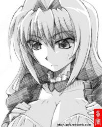Rule 34 | 1girl, breasts, cleavage, female focus, gofu, greyscale, hair intakes, large breasts, long hair, monochrome, sekirei, sketch, solo, spot color, traditional media, tsukiumi, white background