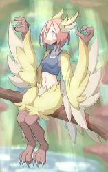 Rule 34 | 1girl, 4138, animal ears, bad id, bad pixiv id, blue eyes, blush, branch, breasts, claws, feather hair, feathered wings, feathers, harpy, head wings, highres, midriff, monster girl, open mouth, original, pink hair, pond, sitting, small breasts, solo, talons, winged arms, wings, yellow feathers