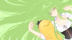 Rule 34 | 1girl, absurdly long hair, breasts, c.c., cheese-kun, cleavage, code geass, corset, creayus, green hair, green theme, long hair, looking at viewer, md5 mismatch, parted lips, resized, smile, stuffed toy, very long hair, yellow eyes