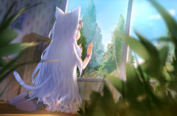 Rule 34 | 1girl, animal ears, blue sky, blurry, blurry foreground, bracelet, cat ears, cat tail, day, facing away, from behind, hair ribbon, indoors, jewelry, long hair, observerz, original, ribbon, sky, slippers, solo, tail, very long hair, white hair, window