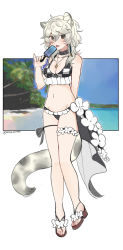 Rule 34 | ahoge, animal ears, arknights, beach, bikini, black bikini, black collar, breasts, brown footwear, checkered bikini top, cleavage, cliffheart (arknights), collar, commentary, flower, food, full body, grey eyes, hand up, highres, holding, holding food, jewelry, leopard ears, leopard girl, leopard tail, long hair, looking at viewer, mayuuda, medium breasts, midriff, navel, necklace, open mouth, palm tree, popsicle, sandals, solo, standing, swimsuit, tail, thigh strap, tree, twitter username, white flower, white hair