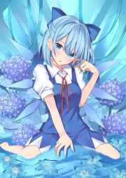 Rule 34 | 1girl, :p, barefoot, blue bow, blue dress, blue eyes, blue flower, blue hair, blue theme, blush, bow, breasts, chroemaguro, cirno, commentary request, dress, finger to cheek, flower, full body, hair bow, hand in own hair, head tilt, hydrangea, ice, ice crystal, ice wings, looking at viewer, medium breasts, partially submerged, puffy short sleeves, puffy sleeves, red neckwear, red ribbon, ribbon, short hair, short sleeves, sitting, solo, tongue, tongue out, touhou, wariza, water, wings