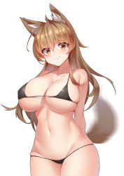 Rule 34 | 1girl, absurdres, aluo 7762, animal ear fluff, animal ears, arknights, arms behind back, bare shoulders, bikini, black bikini, blush, breasts, brown eyes, brown hair, ceobe (arknights), chinese commentary, commentary request, cowboy shot, dog girl, groin, hair between eyes, highres, large breasts, long hair, looking at viewer, navel, simple background, solo, standing, stomach, swimsuit, tail, white background