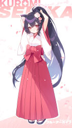 Rule 34 | 1girl, animal ears, apple caramel, black hair, blue archive, blush, cat ears, character name, closed mouth, full body, hair between eyes, hakama, halo, highres, japanese clothes, long hair, looking at viewer, miko, official alternate costume, pink halo, red eyes, red hakama, sandals, serika (blue archive), serika (new year) (blue archive), smile, socks, solo, very long hair, white socks, wide sleeves, zouri