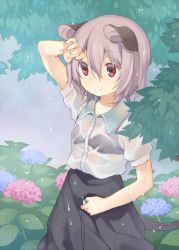 Rule 34 | 1girl, akagashi hagane, animal ears, black bra, bra, flower, grey hair, grey skirt, hair between eyes, hydrangea, jewelry, looking up, mouse ears, mouse tail, nazrin, outdoors, pendant, rain, red eyes, see-through, skirt, skirt set, solo, tail, touhou, tree, under tree, underwear, wet, wet clothes