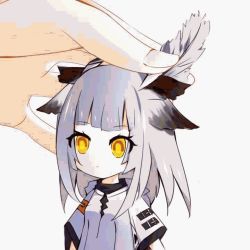 Rule 34 | 1girl, animated, animated gif, arknights, blinking, blunt bangs, chibi, feather hair, feather hair ornament, feathers, grey background, guangnian, hair flaps, hair ornament, huge filesize, long hair, long sleeves, ptilopsis (arknights), ptilopsis (elite ii) (arknights), shirt, silver hair, simple background, solo focus, upper body, white shirt, yellow eyes